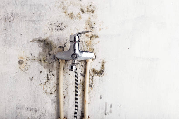 Best Water Damage Restoration  in Barnhart, MO