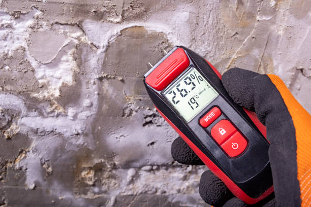 Best Best Mold Removal Companies  in Barnhart, MO