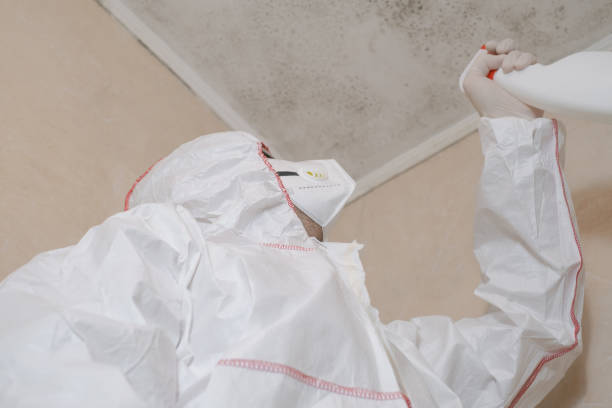 Best Mold Damage Repair  in Barnhart, MO