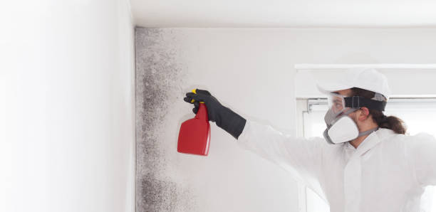 Best Residential Mold Removal  in Barnhart, MO